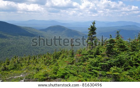 Appalachian Trail in Maine