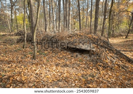 Similar – Image, Stock Photo Bunker remnants with tree remnants