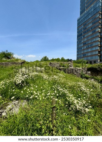 Similar – Foto Bild Ruine eines Hochhauses und Straßenbeleuchtung