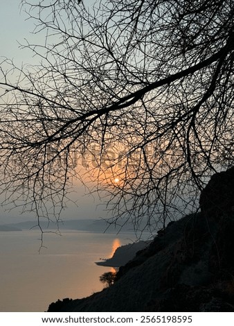 Similar – Foto Bild Sonnenaufgang  durch Geäst