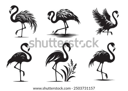 Flamingo Silhouette illustration Vector design 6 bundle file