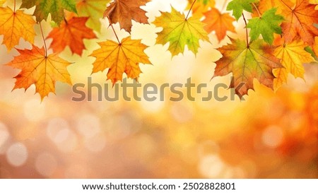 Similar – Image, Stock Photo The red leaves of the maple in autumn