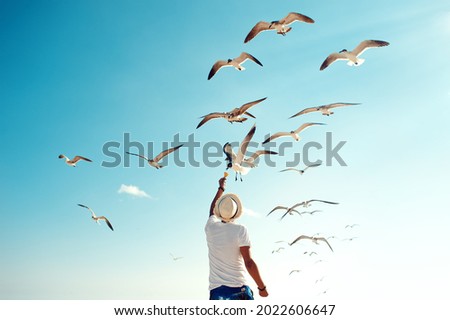Tourist man feeding flock of seagulls on playa del carmen beach, Mexico. Back view of young male with straw hat, gives nachos to flying seabirds Stock foto © 