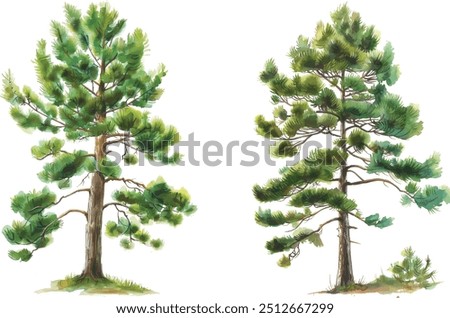 Similar – Image, Stock Photo Crown Of Pine Trees Woods Under Night Starry Sky. Night Landscape With Natural Real Glowing Stars Over Forest