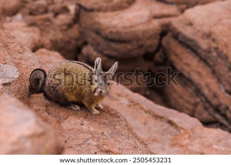 Similar – Image, Stock Photo Rock formation near path in nature