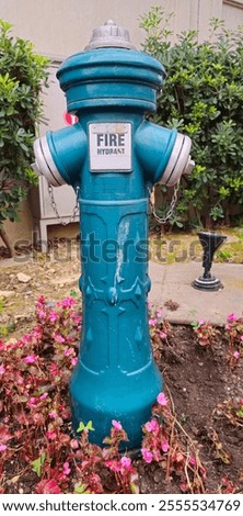 Similar – Image, Stock Photo Fire hydrants at the corrugated wall and door