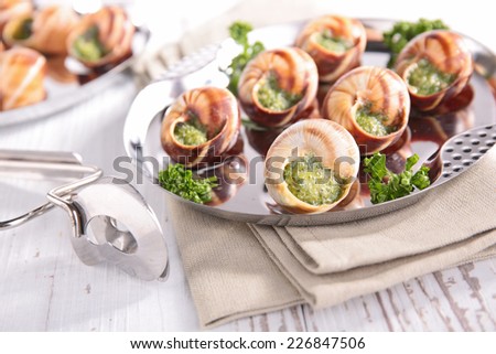 bourgogne snail, french gastronomy