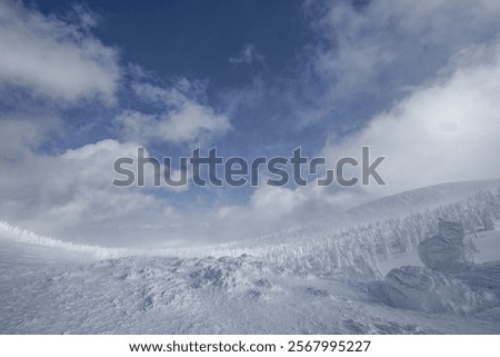 Similar – Image, Stock Photo Frost covering the famous vineyards of Bernkastel-kues in Germany