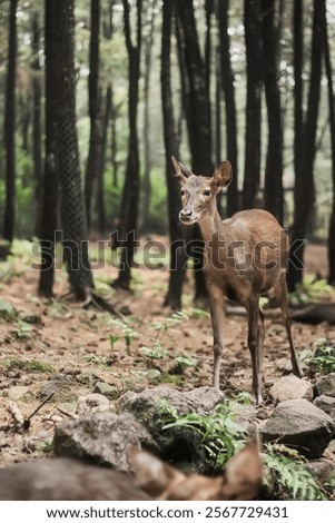 Similar – Image, Stock Photo Standby (I) Education