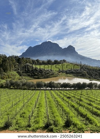 Similar – Foto Bild Franschhoek Südafrika