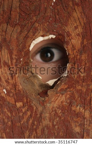 looking through the hole in the fence
