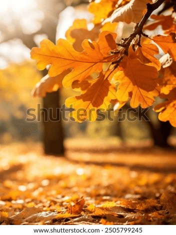 Similar – Image, Stock Photo There seems to be no middle ground these days :(