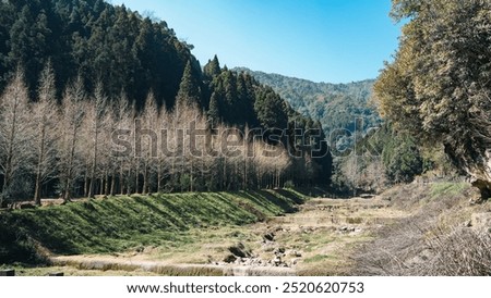 Similar – Image, Stock Photo Karg forest Forest