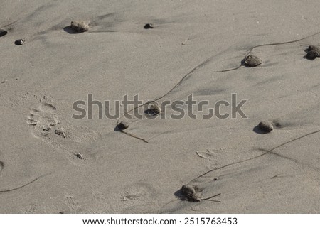 Similar – Image, Stock Photo Rough rocks washed by ocean waves forming foam in daylight