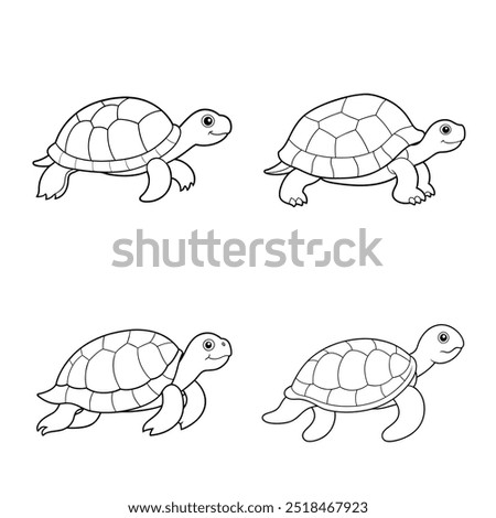 4 turtle vector illustration line art