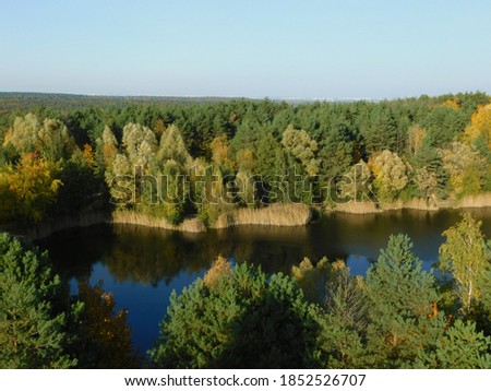 Golden autumn in Wielkopolski Park Narodowy, Poland Zdjęcia stock © 