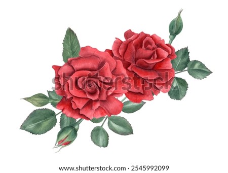 Similar – Image, Stock Photo Two flowers in a row