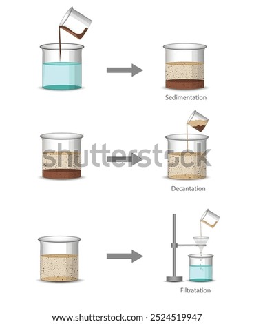 Sedimentation lets solids settle, decantation carefully pours off liquid, and filtration separates solids from liquids using a filter.