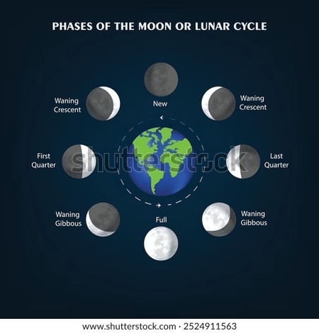 The Moon's phases cycle from new to full and back, including new moon, crescent, first quarter, gibbous, full, and last quarter.