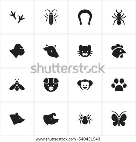 Set Of 16 Editable Animal Icons. Includes Symbols Such As Sow, Baboon, Bedbug And More. Can Be Used For Web, Mobile, UI And Infographic Design.