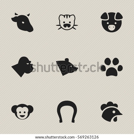 Set Of 9 Editable Animal Icons. Includes Symbols Such As Beast, Rooster, Forepaw And More. Can Be Used For Web, Mobile, UI And Infographic Design.