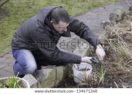 spring garden work.    young man doing garden work.