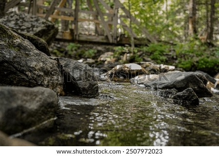 Similar – Foto Bild Bach in einem Wald Natur