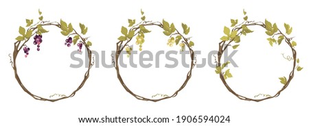 Grapevine - vector illustration. Design elements with a twisting vine with leaves and berries. Freehand drawing in watercolor style. Round frame with vine.	