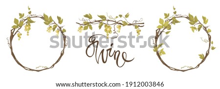 Grapevine - vector illustration. Design elements with a twisting vine with leaves and green berries. Freehand drawing in watercolor style. Frame with vine.