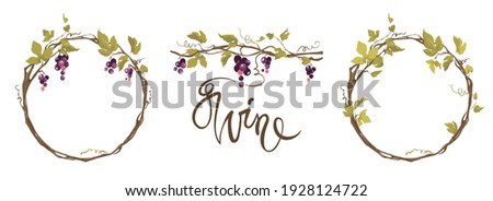 Grapevine - vector illustration. Design elements with a twisting vine with leaves and black berries. Freehand drawing in watercolor style. Frame with vine.	