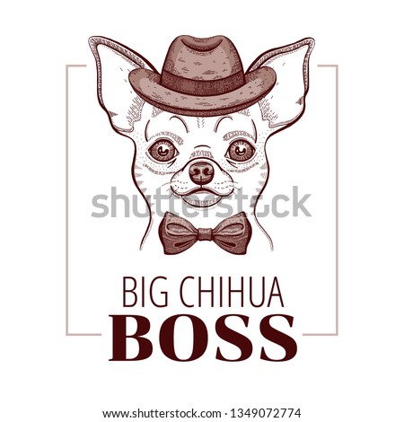 Chihuahua boss dog. T-shirt print design. Cool animal vector. Doodle hand drawn style for tee, child, male fun apparel. Puppy character poster & hipster element. Fashion illustration isolated on white