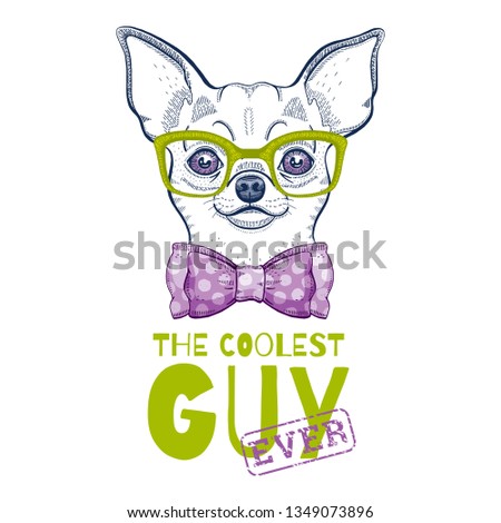 Cute chihuahua dog t-shirt print design. Cool animal vector, doodle hand drawn style for tee, child, baby funny apparel. Puppy character poster, hipster element. Fashion illustration isolated on white