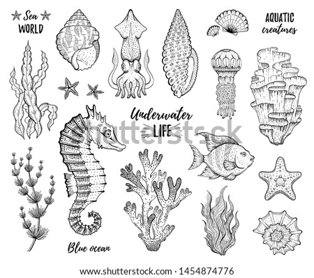 Coral Clipart Black And White | Free download on ClipArtMag