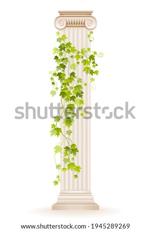 Image, Stock Photo Vine Architecture