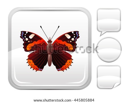 Natural flying insect icon for nature, four seasons, animal wild life, ecological design. Macro butterfly symbol on square background and other blank button forms, speaking bubble, circle, sticker