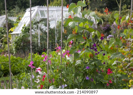 Cottage Garden Flowers & Vegetables