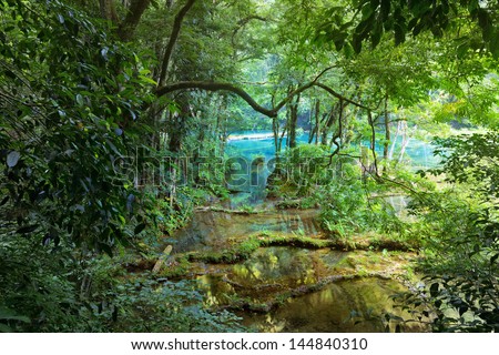 Wild Mayan