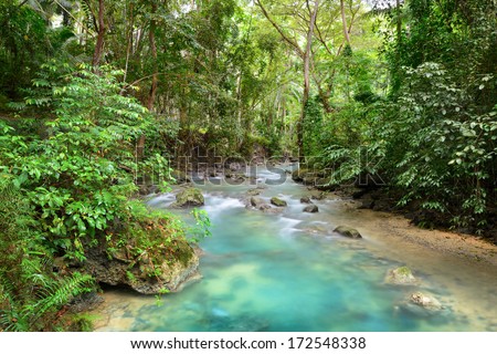 Tropical rain forest with a clean river shot long exposure. Philippines, Asia.