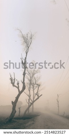 Similar – Cold morning Environment