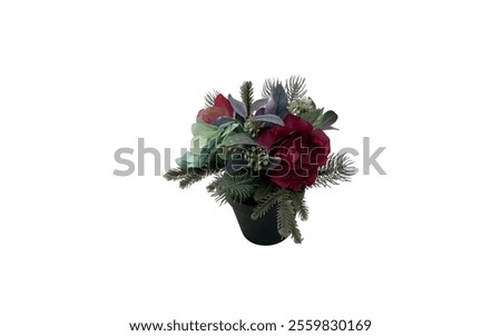 Similar – Image, Stock Photo red festive ranunculus