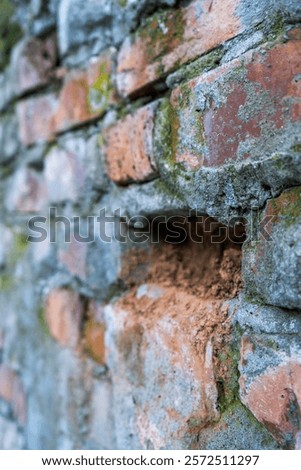 Similar – Image, Stock Photo Passage in old masonry to a staircase and other parts of the building