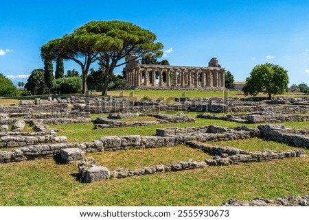 Image, Stock Photo Column, Paestum Campania