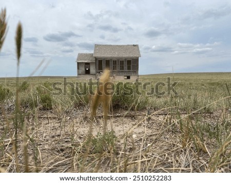 Similar – Image, Stock Photo Abandoned house on the field