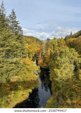 Image, Stock Photo #A9# Autumn in the forest