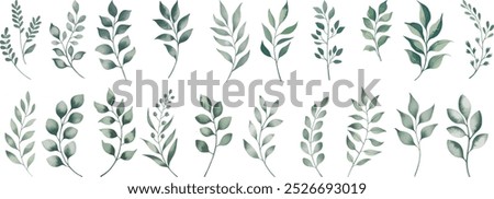 Green watercolor leaves on isolated background. Hand painted branches leaves, Eucalyptus leaves.