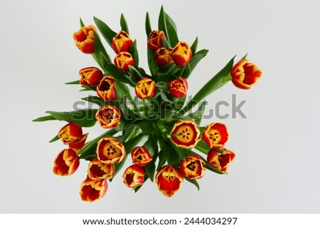 Similar – Image, Stock Photo Vase with colorful flowers on small table