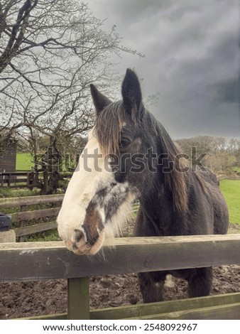 Similar – Foto Bild Schimmel. Schimmelpilze