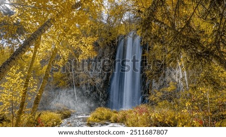 Similar – Image, Stock Photo Waterfall flowing through autumn forest in daylight