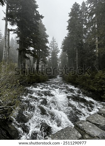 Similar – Foto Bild Schneller Fluss, der durch ein Bergtal fließt