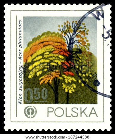 POLAND - CIRCA 1978: a stamp printed in Poland shows  Norway Maple, Human Environment Emblem, circa 1978